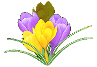 ���{/���s/�Q����ł��T���̕��ɂ������߁I�o���j���s��I���E�ݑ�[�N�E�ً}�ǉ����W���I